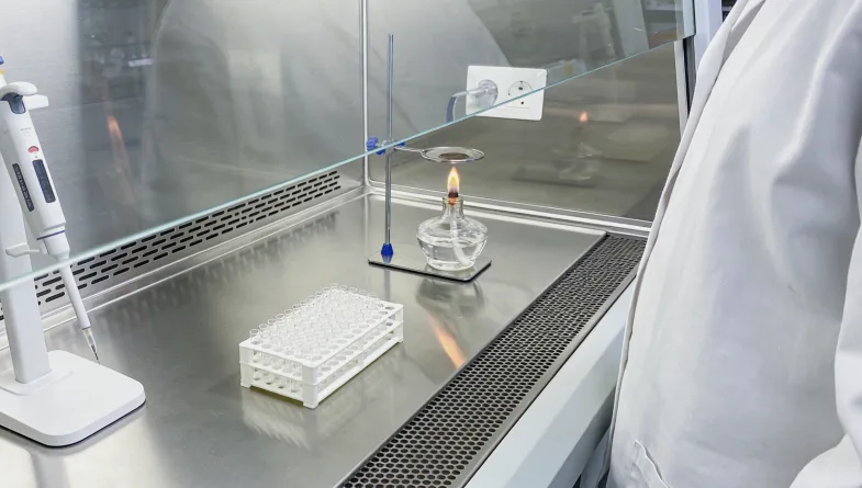 膝关节X光片显示髌骨发育不良或缺失