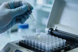 沿Blaschko线分布的典型色素沉着斑