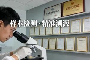 内耳毛细胞结构显微示意图