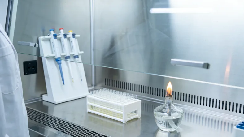 常染色体隐性遗传模式图解