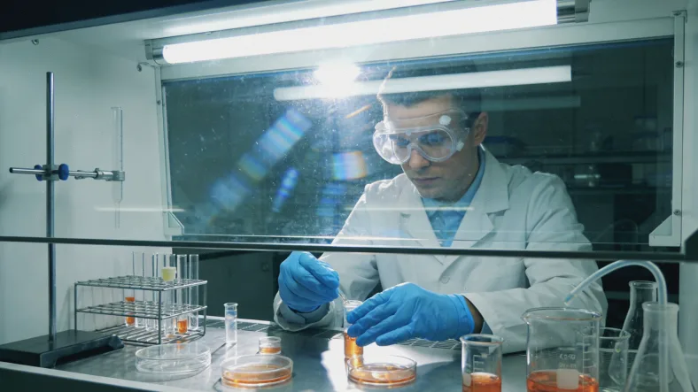 瓦登伯革氏综合征典型面部特征示意图