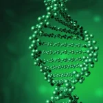 先天性肾病综合征患儿典型水肿表现