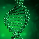 鲁宾斯坦-泰比综合征患儿特征性面容