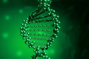 鲁宾斯坦-泰比综合征患儿特征性面容