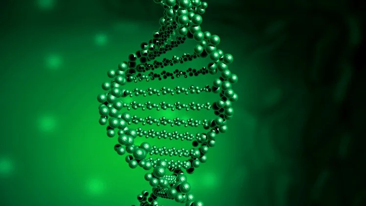 鲁宾斯坦-泰比综合征患儿特征性面容