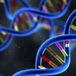 威廉姆斯综合征患儿特征性面容