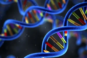 威廉姆斯综合征患儿特征性面容