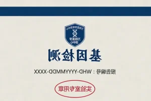 胚胎外胚层发育示意图