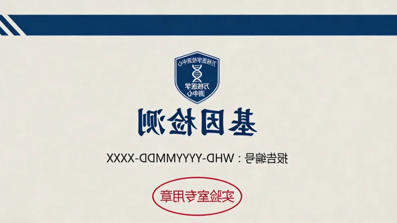 胚胎外胚层发育示意图