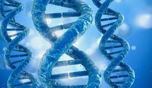 银屑病典型皮损与关节病变对比图