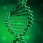 乔布综合征患儿特征性面部湿疹照片