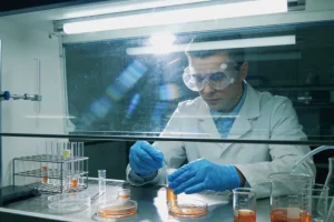 歌舞伎面谱综合征患儿典型面部特征示意图