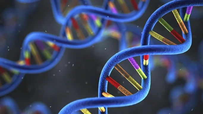 心脏超声显示室间隔显著增厚