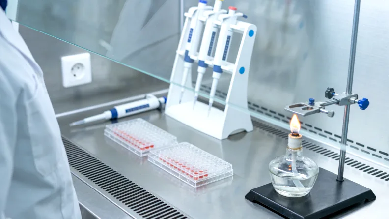 歌舞伎面谱综合征患儿典型面部特征示意图