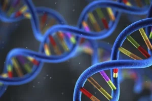 心脏超声对比图：正常vs扩张心室