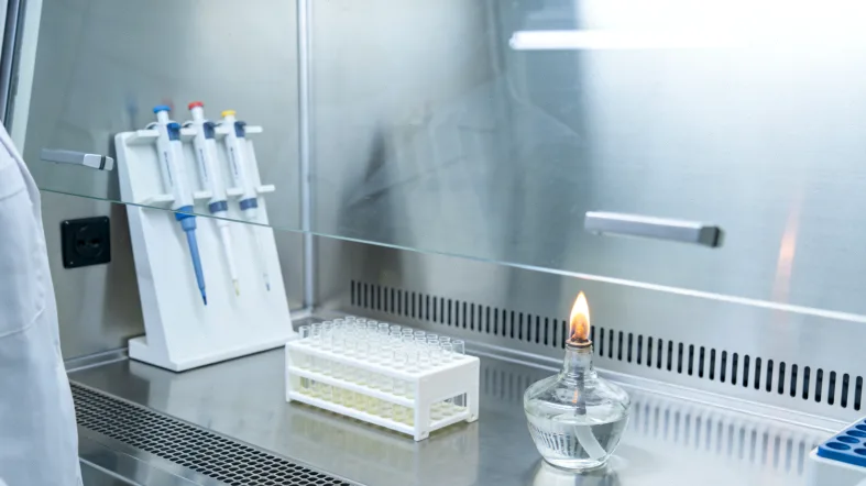 CHARGE综合征多系统畸形示意图