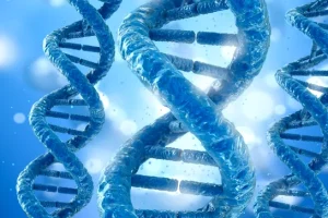 心脏MRI显示右心室脂肪浸润