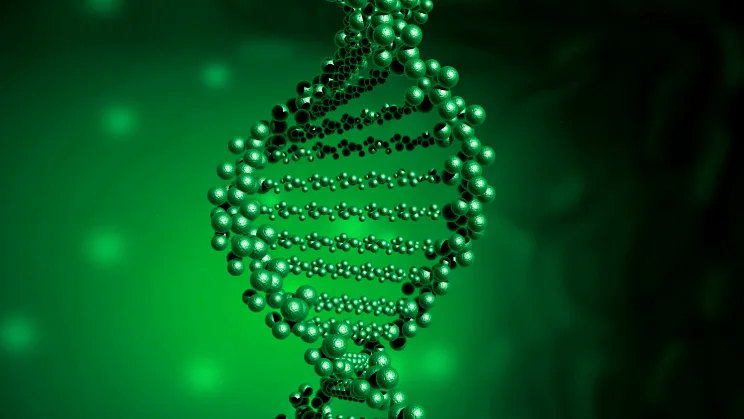 马凡综合征患者典型手部特征