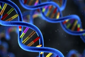 马凡综合征患者特征性体型示意图