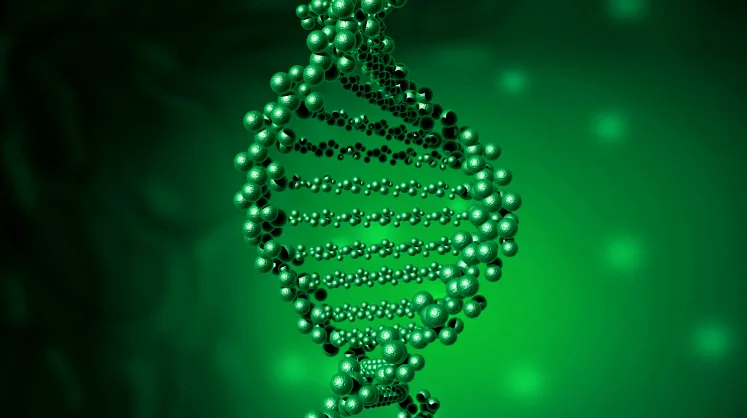 儿童身高发育曲线对比图