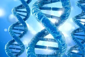 凝血因子VIII在凝血 cascade 中的作用示意图