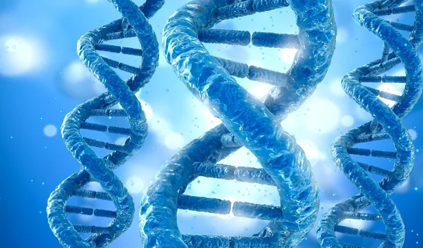 凝血因子VIII在凝血 cascade 中的作用示意图