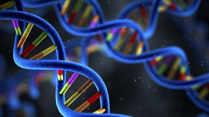 地中海贫血:从基因缺陷到精准防控的全面解析