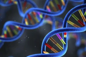 正常红细胞与镰状红细胞形态对比