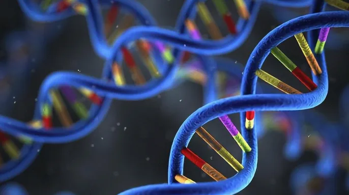 正常红细胞与镰状红细胞形态对比