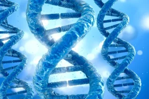 骨髓涂片显示红系增生低下