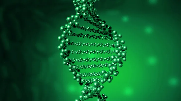 遗传性出血性毛细血管扩张症：警惕家族性出血背后的隐形杀手