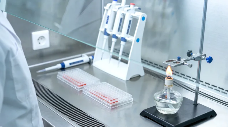 纤毛结构异常与BBS发病机制图解