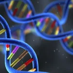 视网膜色素变性典型眼底表现