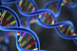 视网膜色素变性典型眼底表现