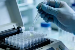 产前超声显示胎儿枕部囊性包块示意图