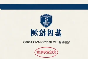 麦克尔-格鲁伯综合征胎儿超声影像示意图