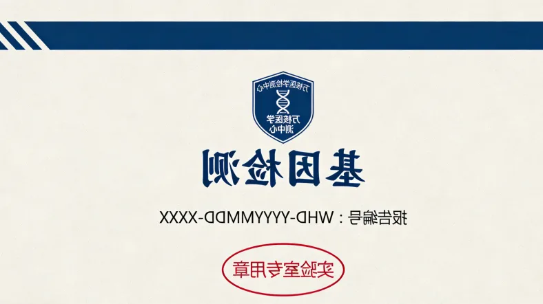 麦克尔-格鲁伯综合征胎儿超声影像示意图