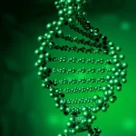 新生儿眼底筛查操作示意图