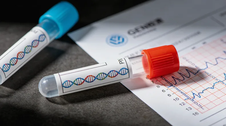 正常大脑与MKS患儿大脑结构对比示意图