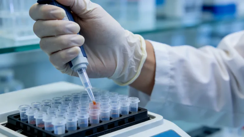 产前超声显示胎儿后脑膜膨出示意图