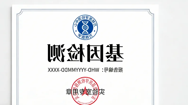 医生与患者共同观看基因检测报告并进行沟通
