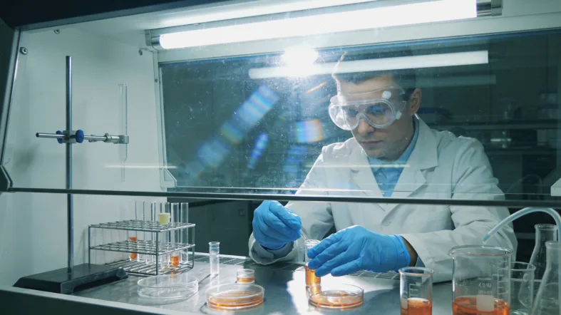 新辅助靶向治疗前后肿瘤大小对比示意图