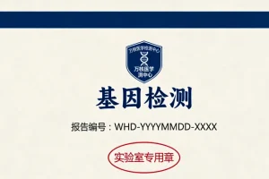 医生与患者家属沟通治疗方案的场景