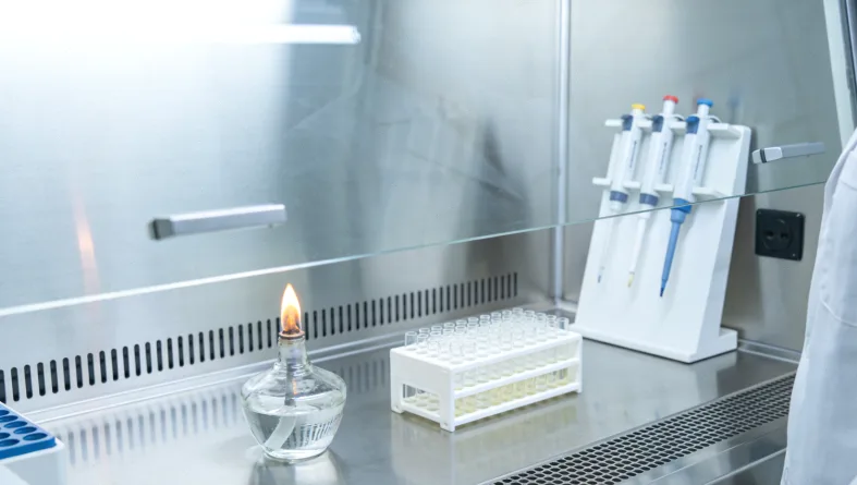 化疗与靶向治疗作用机制对比图