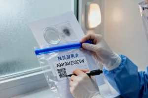 药物与食物在胃肠道相互作用的示意图