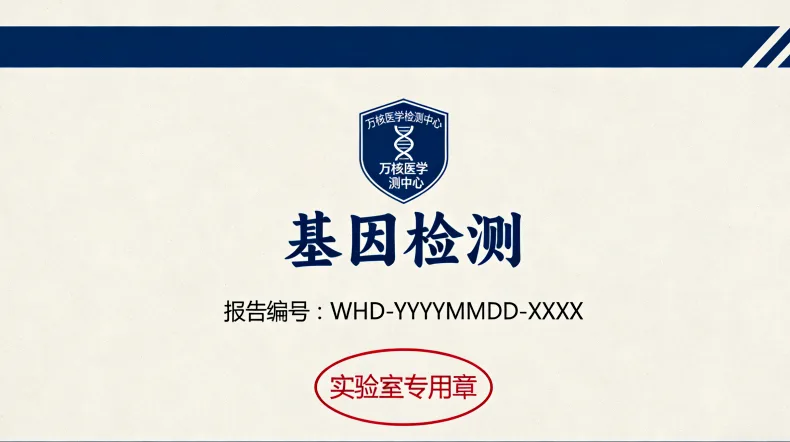 食物过敏（免疫反应）与食物不耐受（消化反应）的对比图表