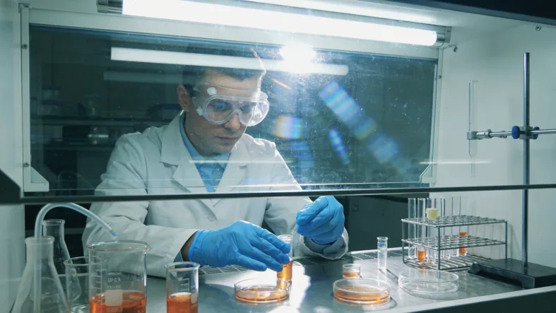 基因测序数据可视化图谱示意图