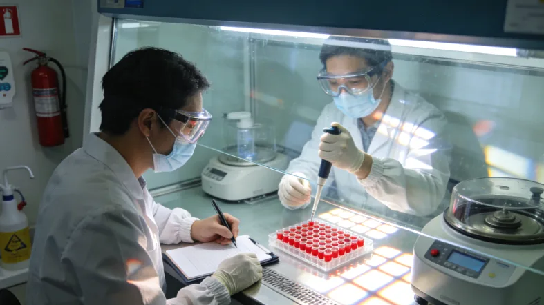 CYP450酶代谢药物示意图