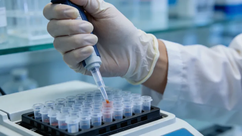 药物在肝脏代谢与转运的简易流程图