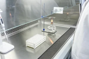 MTHFR基因代谢路径示意图